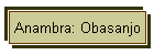 Anambra: Obasanjo