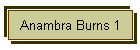 Anambra Burns 1