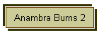 Anambra Burns 2