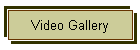 Video Gallery