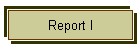 Report I