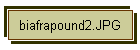 biafrapound2.JPG