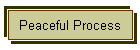 Peaceful Process